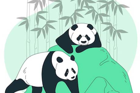 世界上最大的蛇的照片是(世界上最大的蛇能活十万年吗)