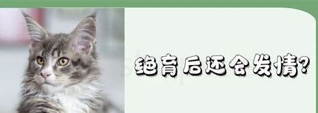 公猫做完绝育还发情(绝育后的猫咪还会发情吗)