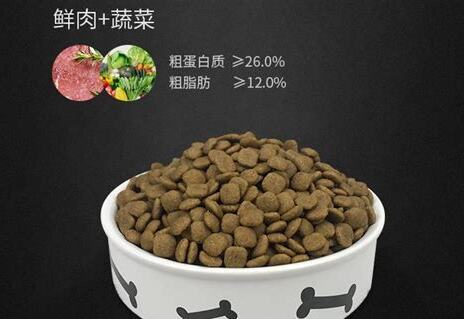 土狗吃什么食物比较好,可以给土狗吃的食物有哪些
