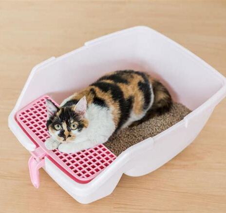 猫砂可以直接冲马桶吗