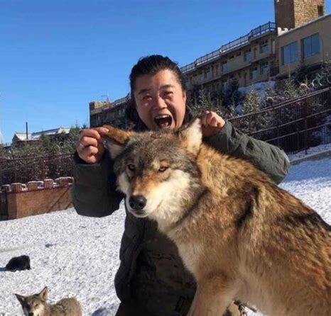 黄鼠狼怎么养