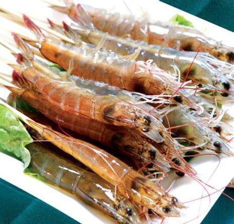 海虾怎么养