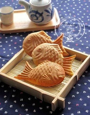 慈鲷鱼怎么养