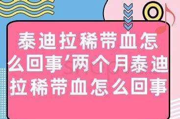 两个月泰迪怎么养