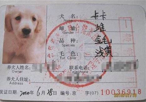 养狗证在哪个部门办理