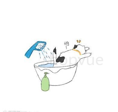 养宠帮宠物托运怎么样