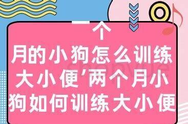 没满一个月的小狗怎么养