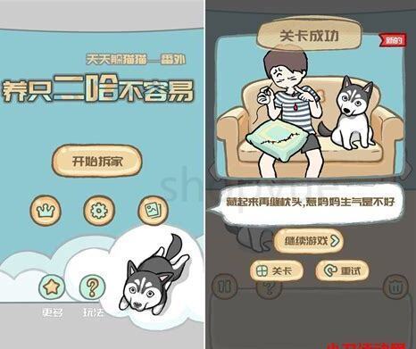 怎么养二哈幼犬