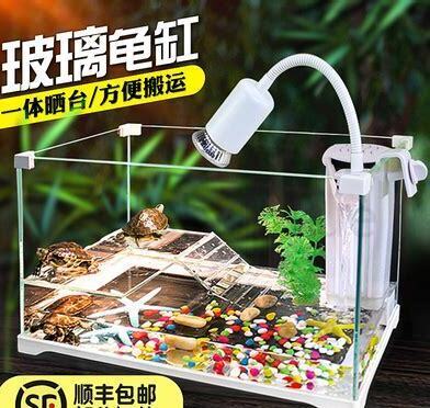 鱼缸养乌龟怎么养