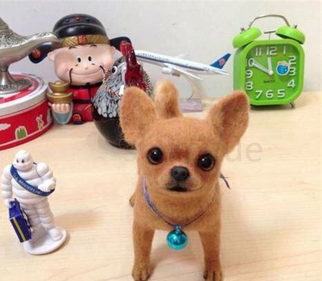 小鹿犬怎么养