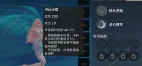 怎么养美人鱼视频教程