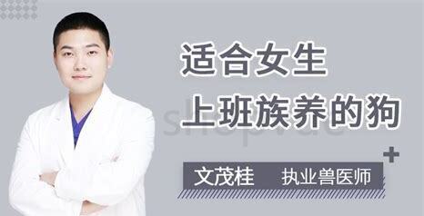 上班怎么养狗 上班怎么养狗