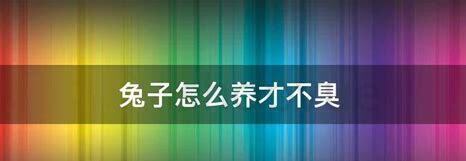 兔子最爱吃的10种食物