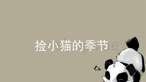 捡的小猫怎么养