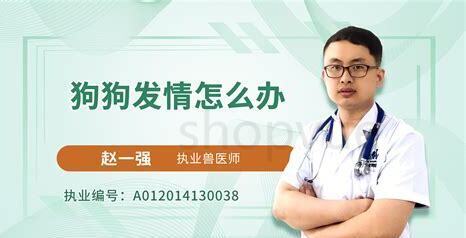 公狗怎么养好
