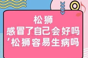 下司犬养殖技术