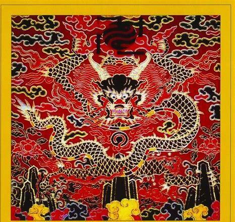 怎么养丽纹龙