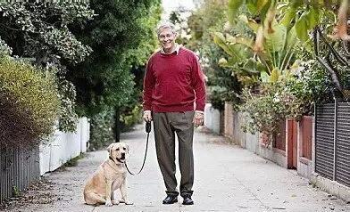 老狗怎么养