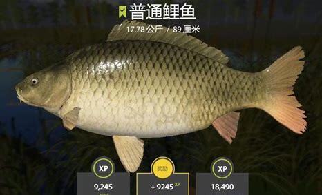 黑鲤鱼怎么养