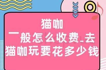 三个月小猫怎么养