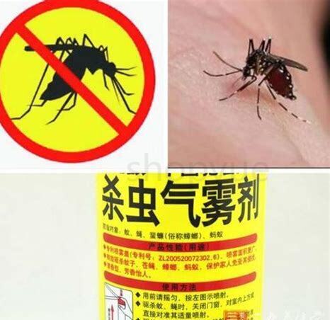 仓鼠怎么养不臭毛白