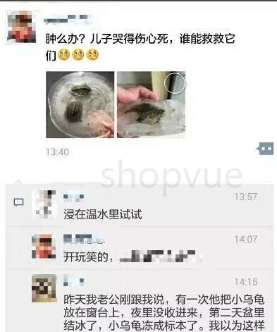 天冷了乌龟怎么养活 天冷了乌龟怎么养活