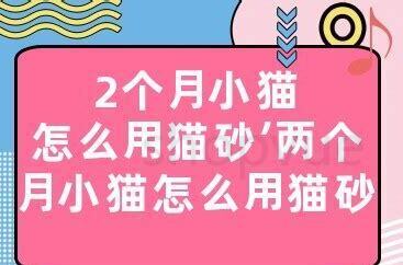 两个月的小猫怎么养