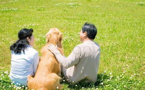 在广州养狗要什么手续
