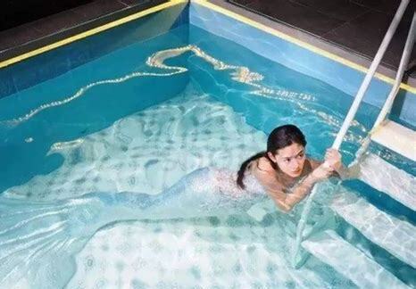 苹果美人鱼怎么养 苹果美人鱼怎么养