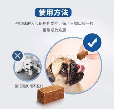养狗怎么驱虫视频 养狗怎么驱虫视频