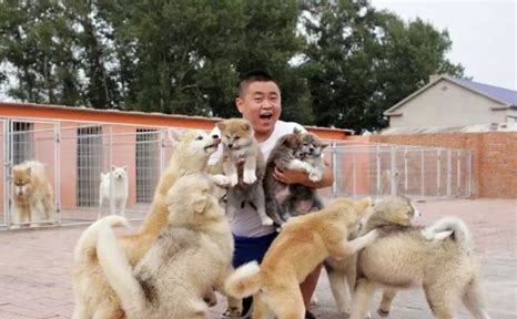 上班的人怎么养狗