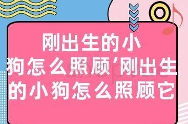 一个月的小土狗怎么养