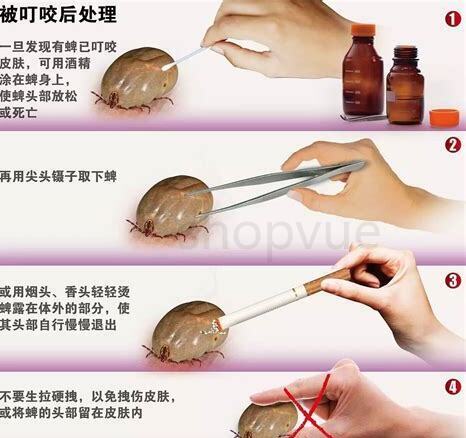 养狗怎么驱虫 养狗怎么驱虫