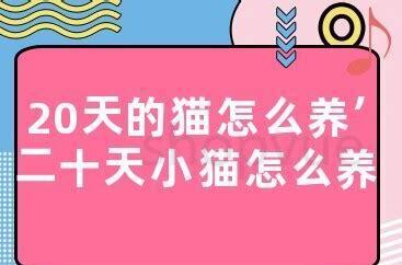 50天的小猫怎么养 50天的小猫怎么养