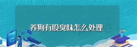 屋里养狗怎么去掉异味儿 屋里养狗怎么去掉异味儿