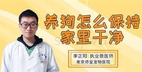 养狗家庭一进门感觉有狗味,养狗家里臭味怎么去除