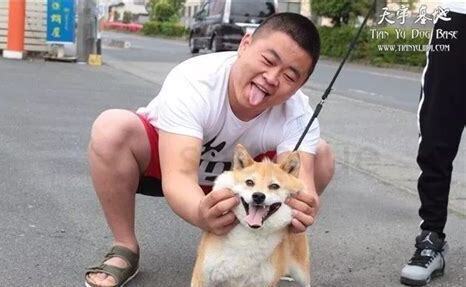 上班族怎么养狗狗