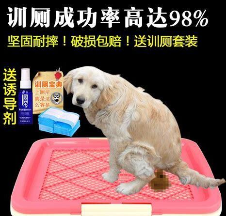 楼上养狗大小便会渗到楼下吗