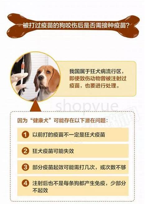 养狗怎么预防狂犬病的发生