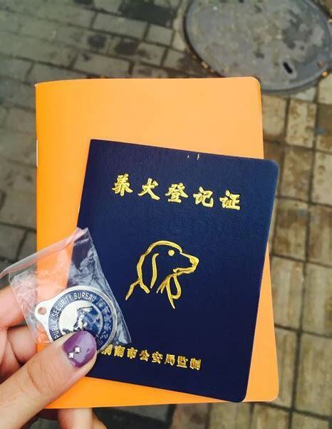 北京养狗证怎么办理 户口