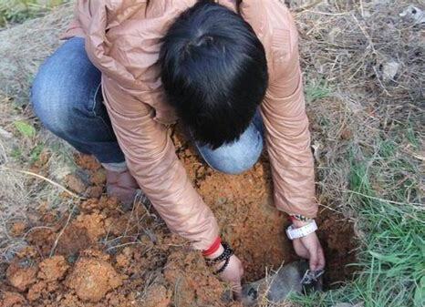 养的狗死了怎么安慰