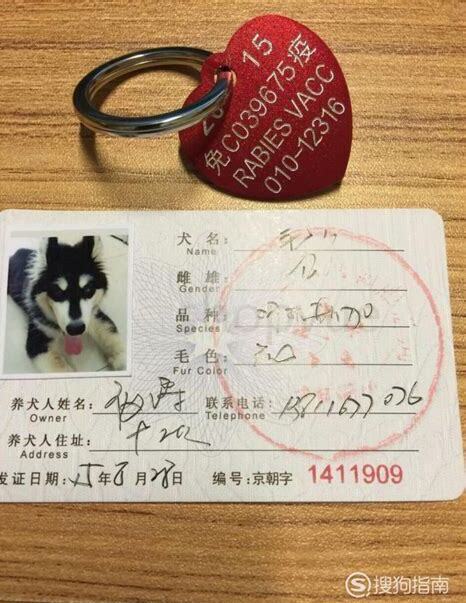 养狗不办狗证犯法吗
