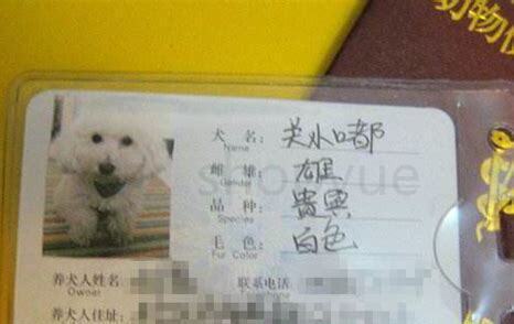 办养狗证怎么办