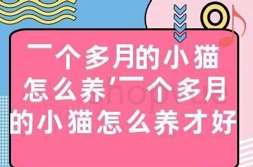 怎么养一个月的小猫