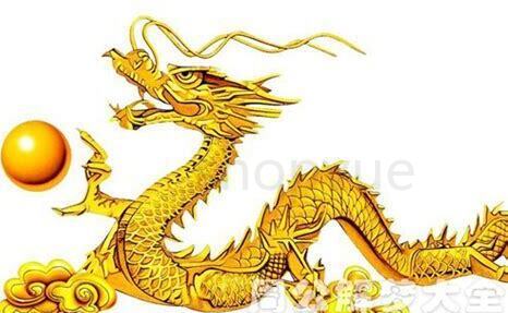 金龙怎么养好