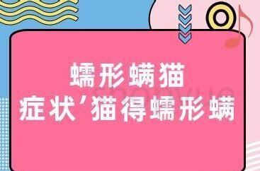 猫的脸怎么养圆