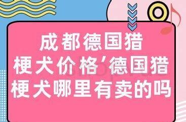 猎梗好养吗