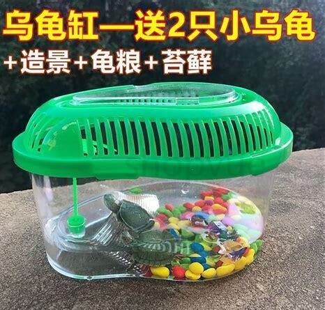 鱼缸里怎么养龟最好