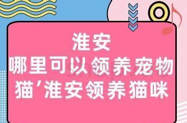早产小狗怎么养 早产小狗怎么养