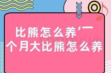 一个月的比熊怎么养